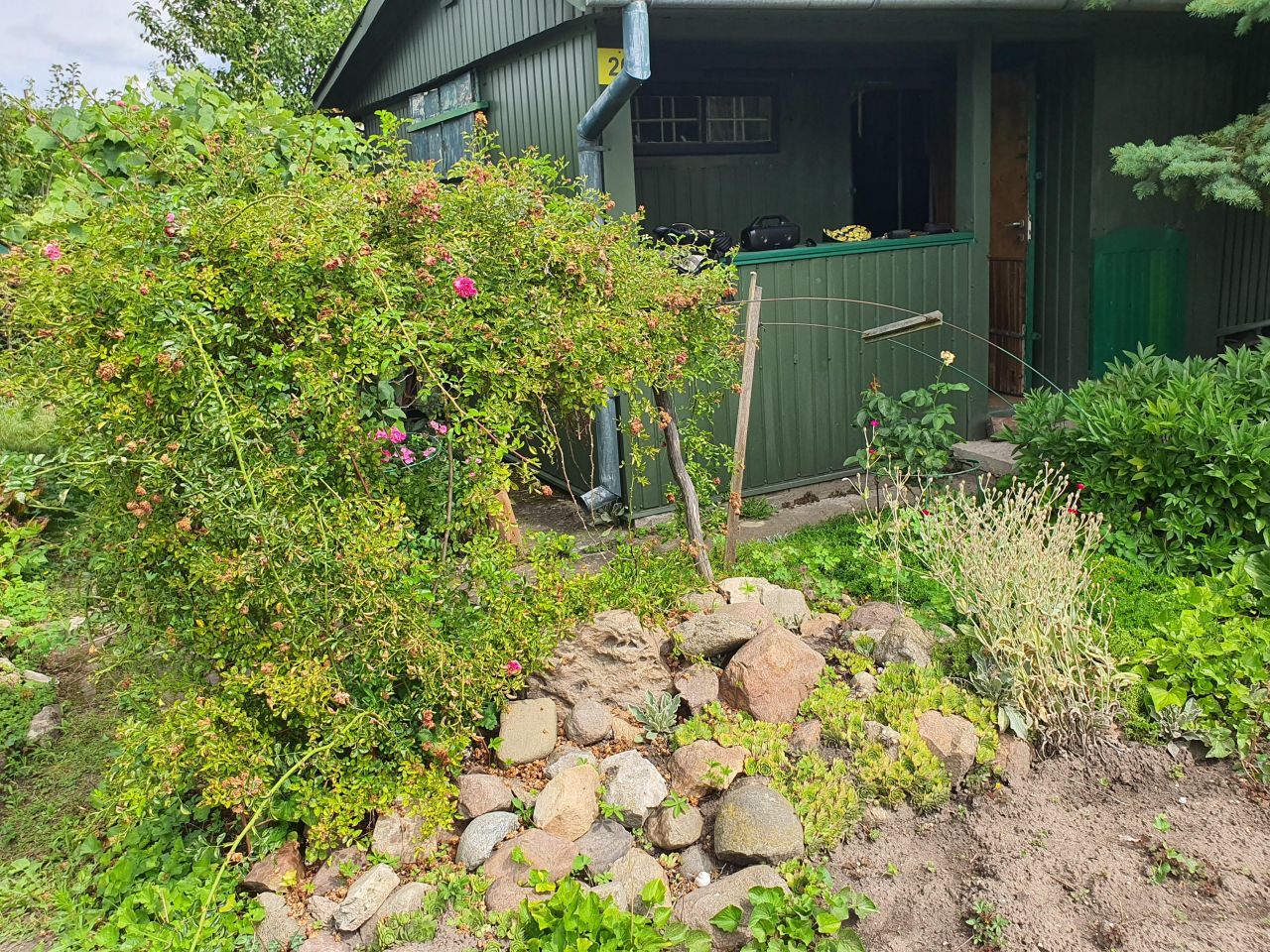 Działka rod Chełm, ul. Żabia. Zdjęcie 6