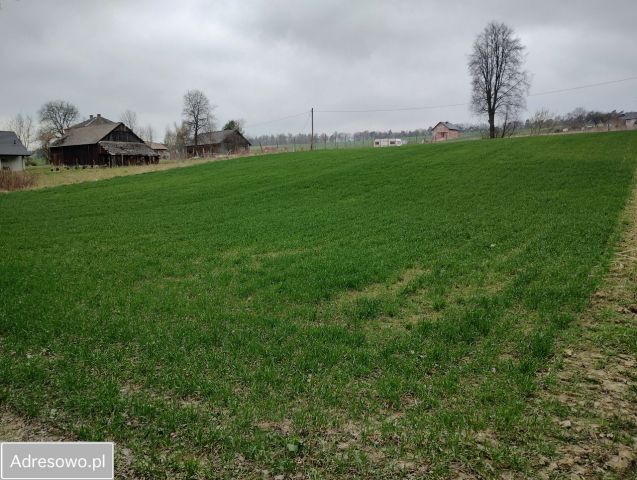 Działka budowlana Celiny, ul. Rajska. Zdjęcie 1