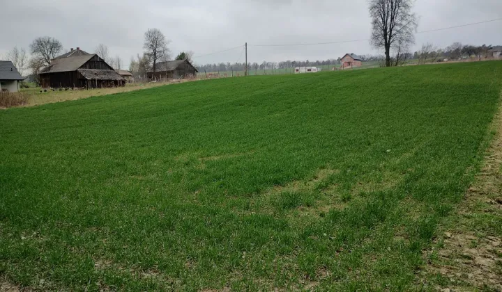 Działka budowlana Celiny, ul. Rajska