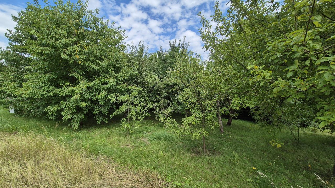 Działka siedliskowa Strzyżów, ul. Podgórna. Zdjęcie 21