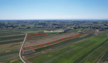 Działka rolna Proszowice, ul. Krakowska