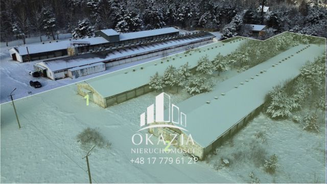 Działka inwestycyjna Wysoka Głogowska. Zdjęcie 3