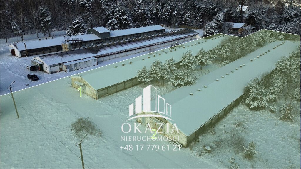 Działka inwestycyjna Wysoka Głogowska. Zdjęcie 3