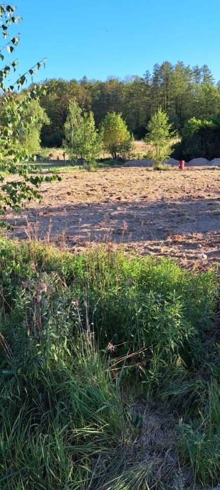 Działka budowlana Ciechów Buczki, ul. Dębowa. Zdjęcie 3