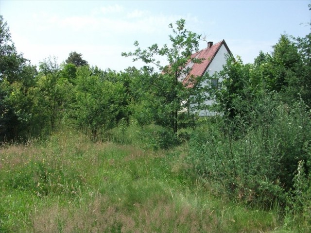 Działka budowlana Wierzbica Dolna. Zdjęcie 1