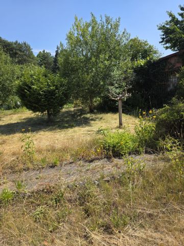 Działka rod Zielona Góra Jędrzychów. Zdjęcie 1