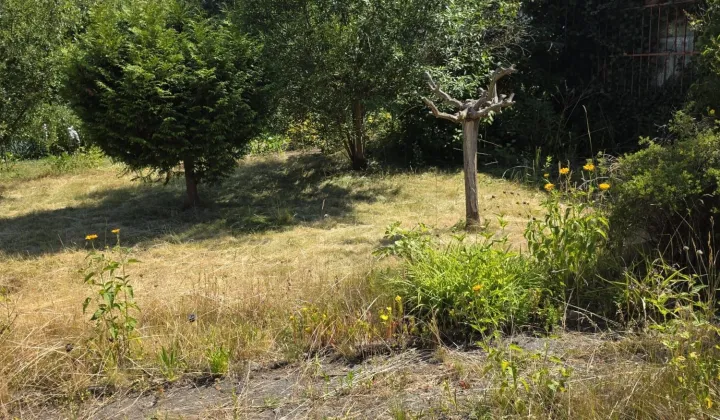 Działka rod Zielona Góra Jędrzychów