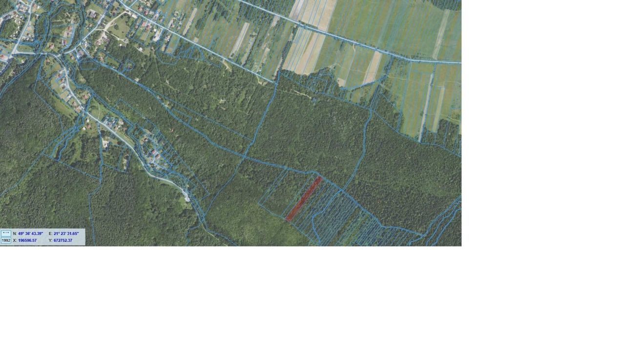 Działka leśna Pielgrzymka. Zdjęcie 2