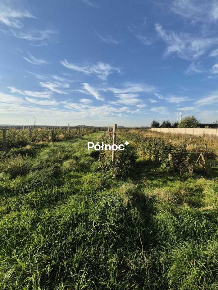 bliźniak, 3 pokoje Taczalin. Zdjęcie 3