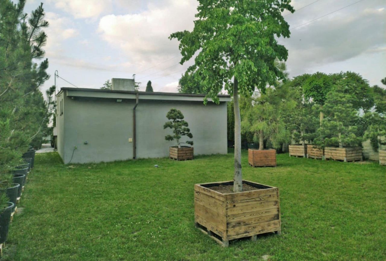 Działka inna Płyćwia. Zdjęcie 8