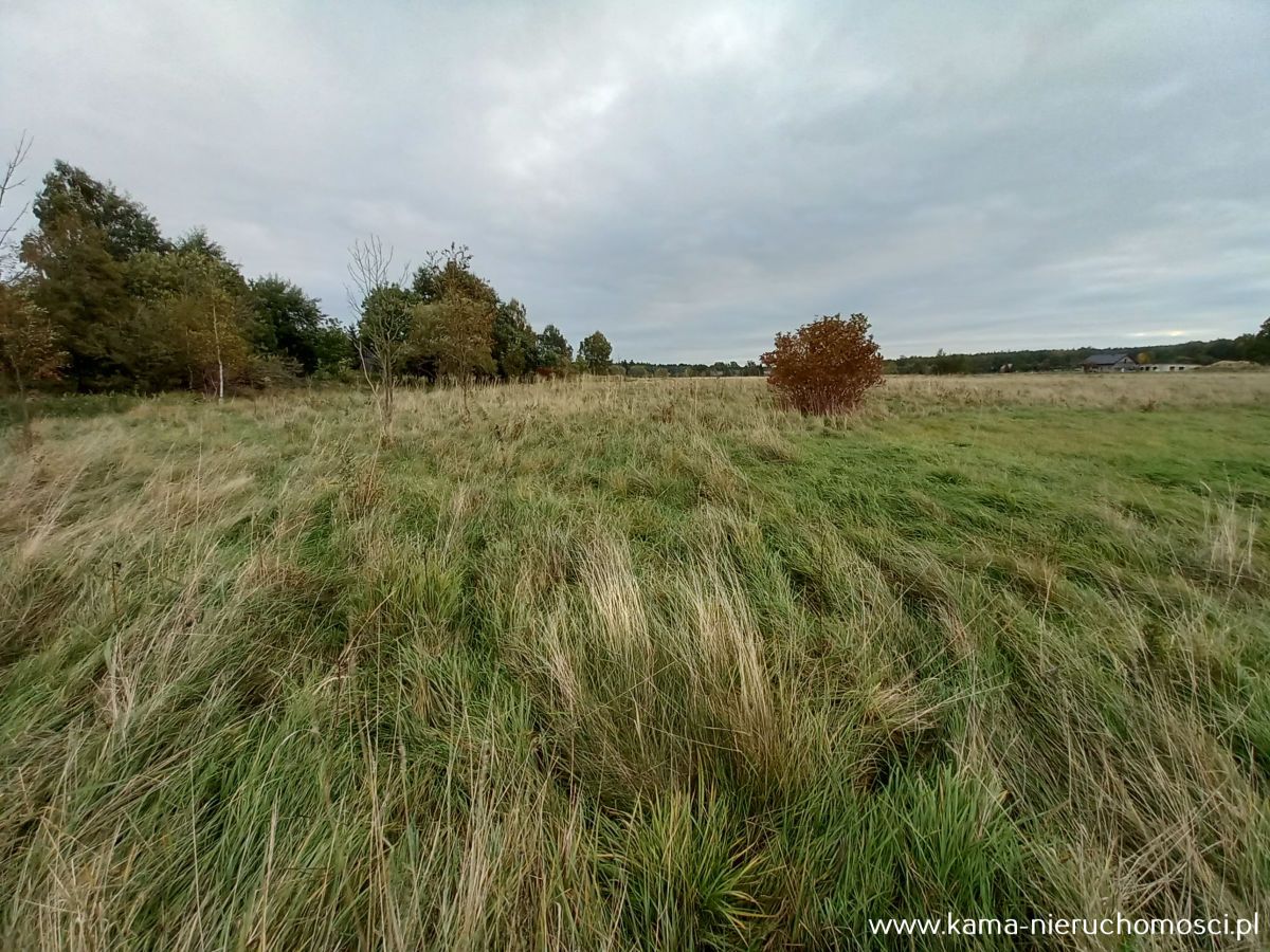 Działka rolna Rębiszów