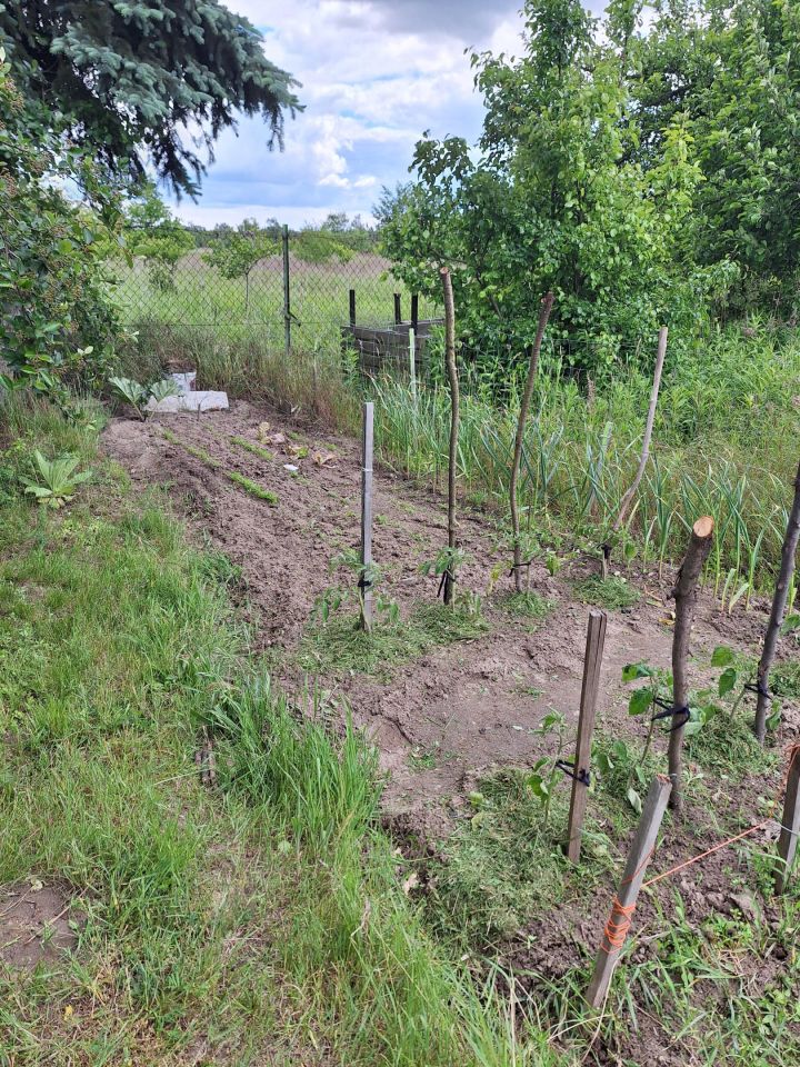 Działka rod Wrocław Jarnołtów, ul. Krobielowicka. Zdjęcie 9