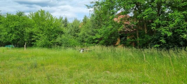 Działka budowlana Rozalin. Zdjęcie 8