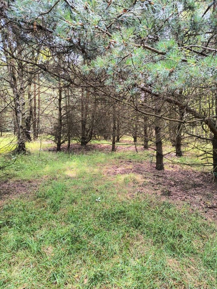 Działka rolna Dobrogoszczyce. Zdjęcie 5