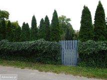 Działka budowlana Wola Grzymkowa. Zdjęcie 3