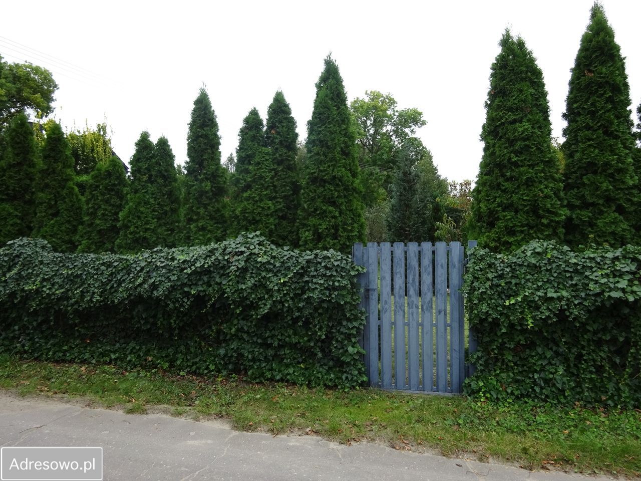 Działka budowlana Wola Grzymkowa. Zdjęcie 4