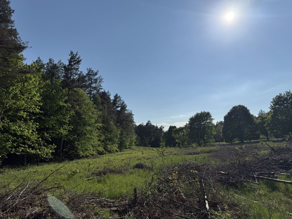 Działka rolna Nicponia. Zdjęcie 7