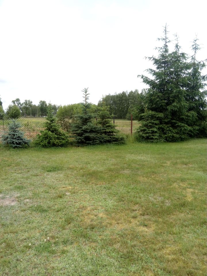 Działka rolno-budowlana Bolimowska Wieś. Zdjęcie 3