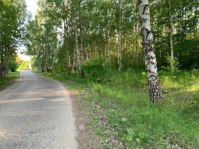 Działka rolna Pilchy. Zdjęcie 2