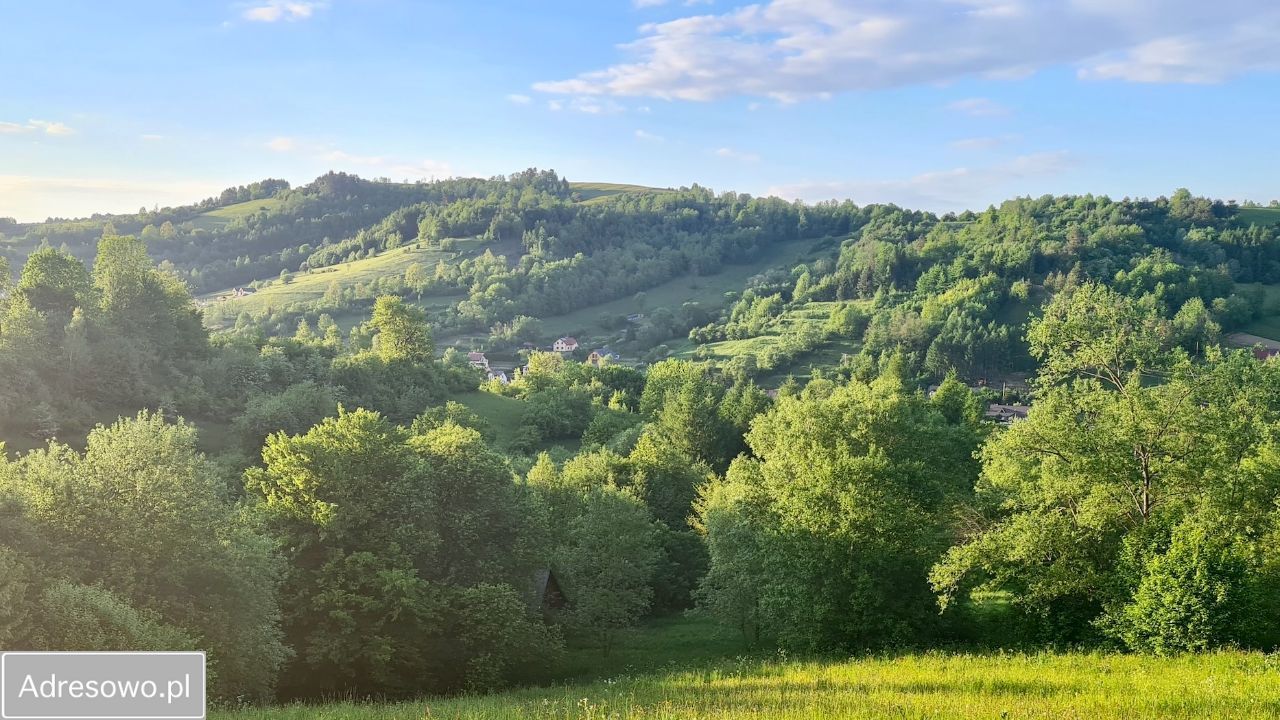 Działka inwestycyjna Wołkowyja, os. Jawory. Zdjęcie 4