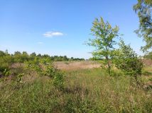 Działka budowlana Dziekanów Polski, ul. Odysei. Zdjęcie 3