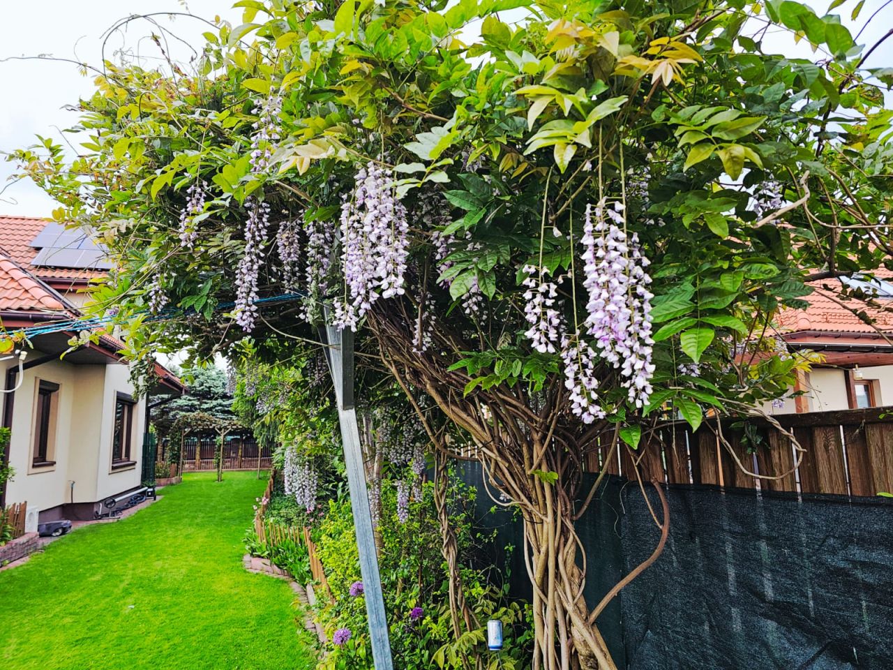 dom wolnostojący, 5 pokoi Borowa Góra, ul. Kameralna. Zdjęcie 31