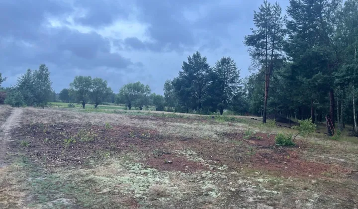 Działka budowlana Krusze, ul. Borowikowa