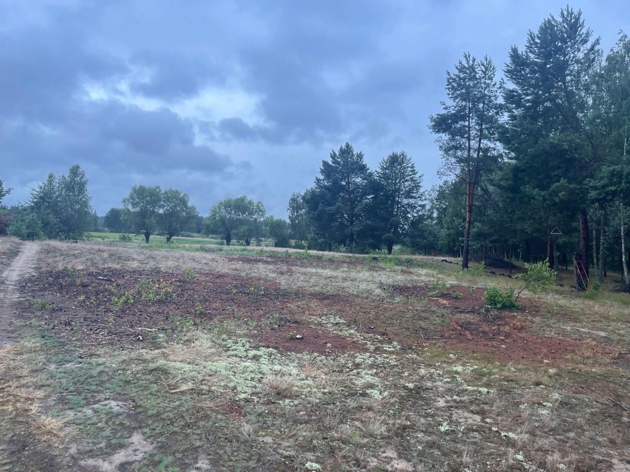 Działka budowlana Krusze, ul. Borowikowa