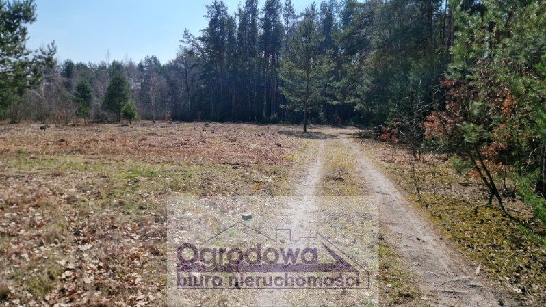 Działka budowlana Kąty. Zdjęcie 11