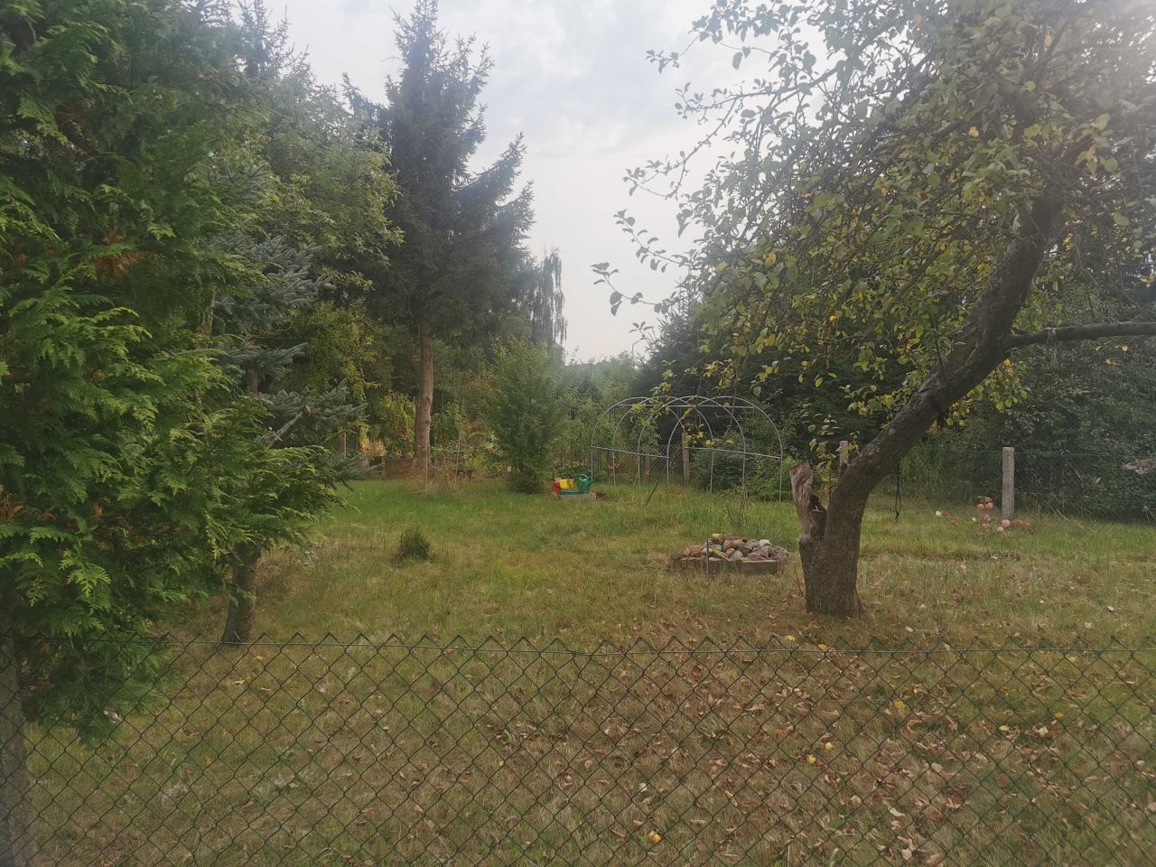 Działka rod Szczecin Gumieńce, ul. Tadeusza Szeligowskiego. Zdjęcie 8