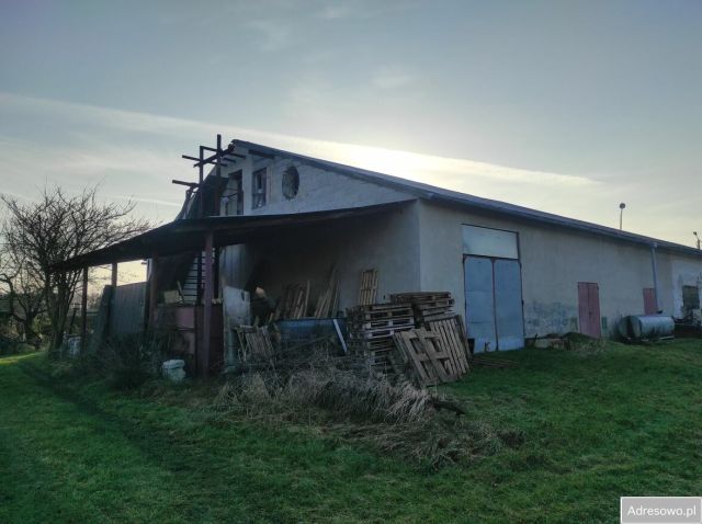 Działka inwestycyjna Wilków Średzki. Zdjęcie 1