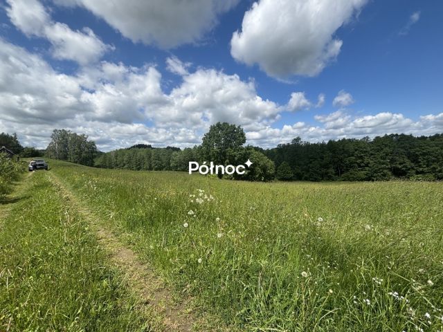 Działka Polimonie. Zdjęcie 5