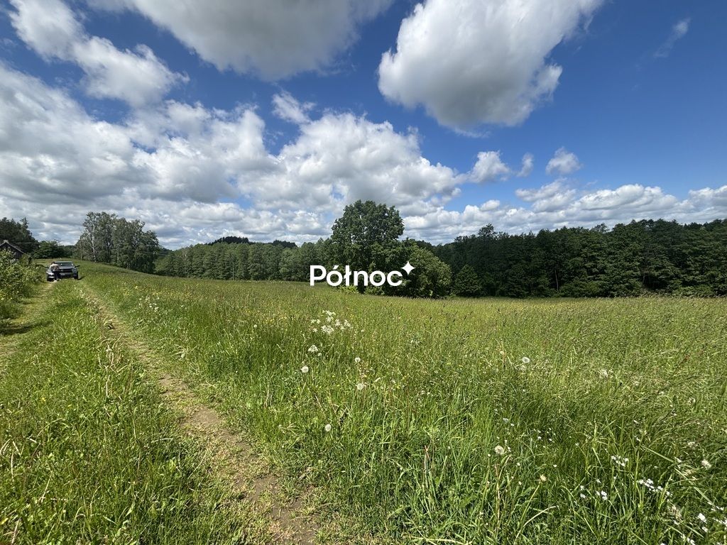 Działka Polimonie. Zdjęcie 5