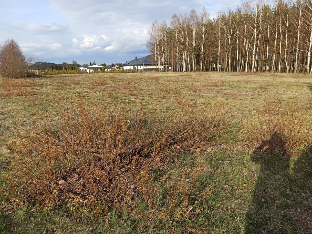Działka budowlana Orchówek, ul. Tarasowa. Zdjęcie 3