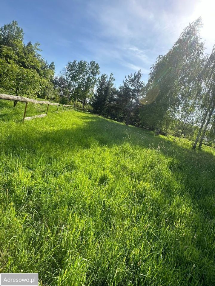 Działka rolna Dubiny. Zdjęcie 12