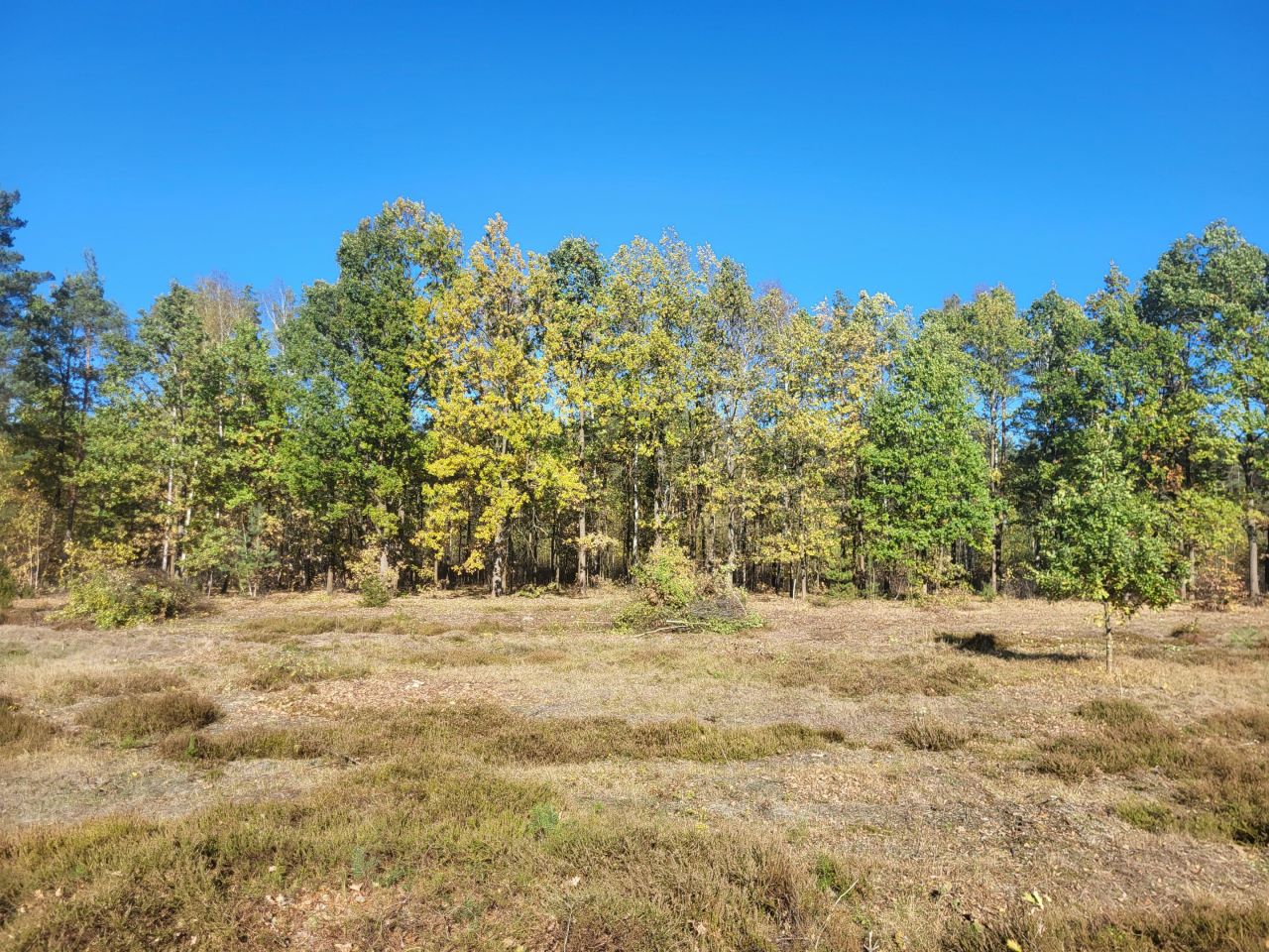 Działka budowlana Sowlany, Karmelowa