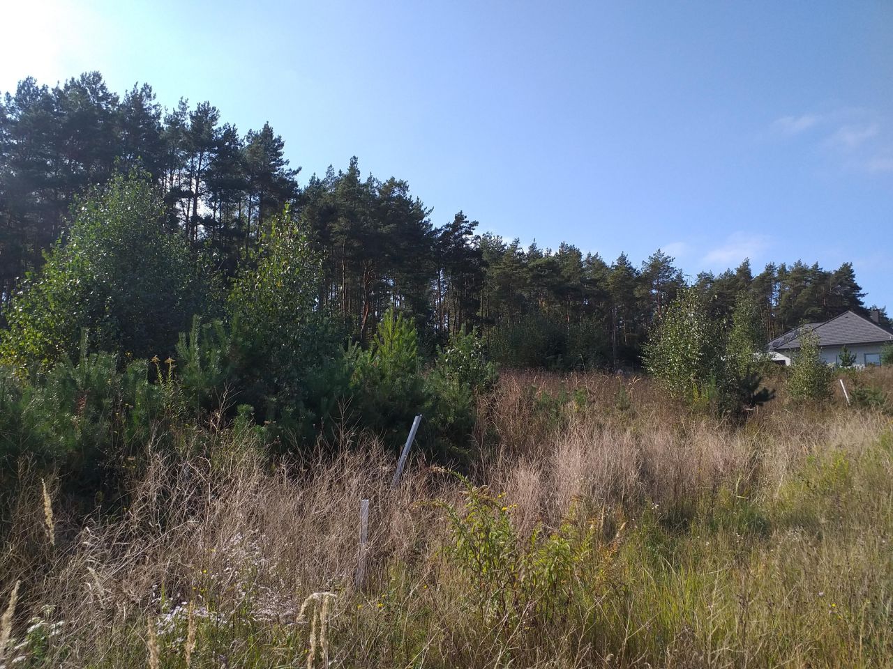 Działka budowlana Piła Górne, ul. Orla. Zdjęcie 2