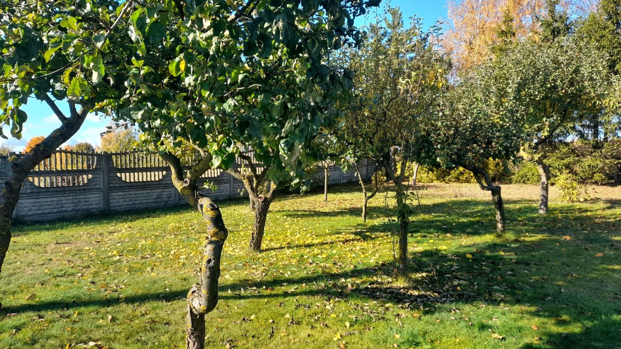 Działka rolna Grajewo, ul. Architektów. Zdjęcie 6