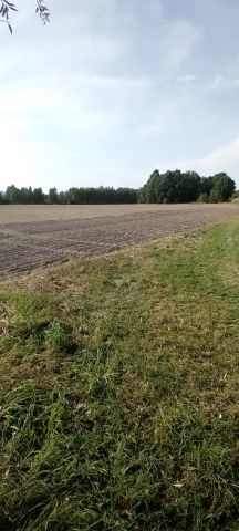 Działka rolno-budowlana Nowa Wieś. Zdjęcie 1