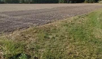 Działka rolno-budowlana Nowa Wieś