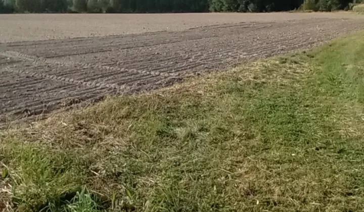 Działka rolno-budowlana Nowa Wieś