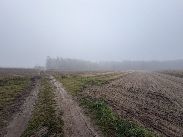 Działka rolna Krzepczów. Zdjęcie 1