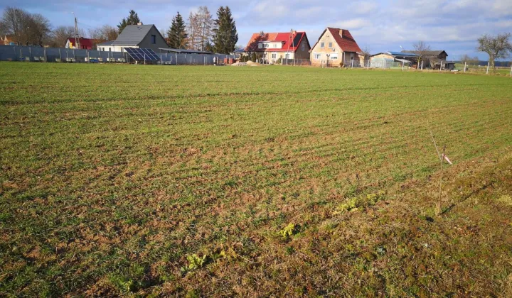 Działka budowlana Sokola Dąbrowa