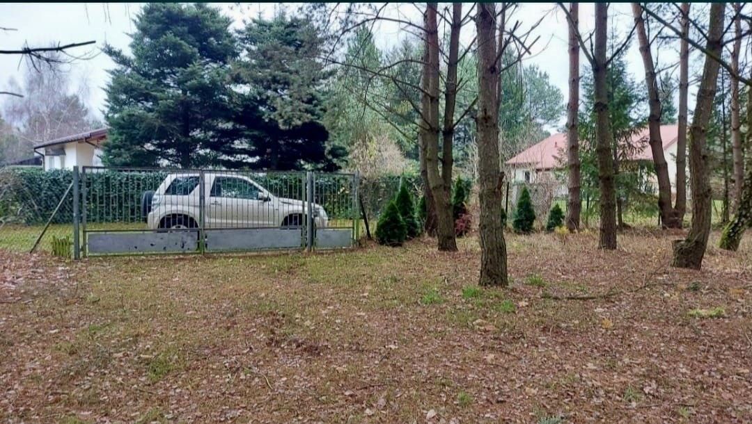 Działka Ldzań. Zdjęcie 8