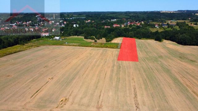 Działka inwestycyjna Olszyna. Zdjęcie 4
