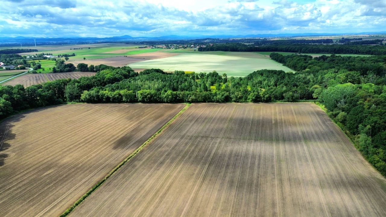 Działka rolna Krasków. Zdjęcie 15