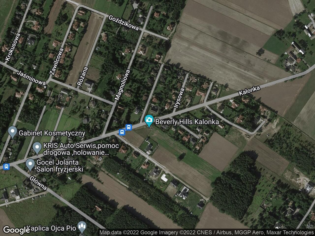 dworek Kalonka, ul. Irysowa. Zdjęcie 6