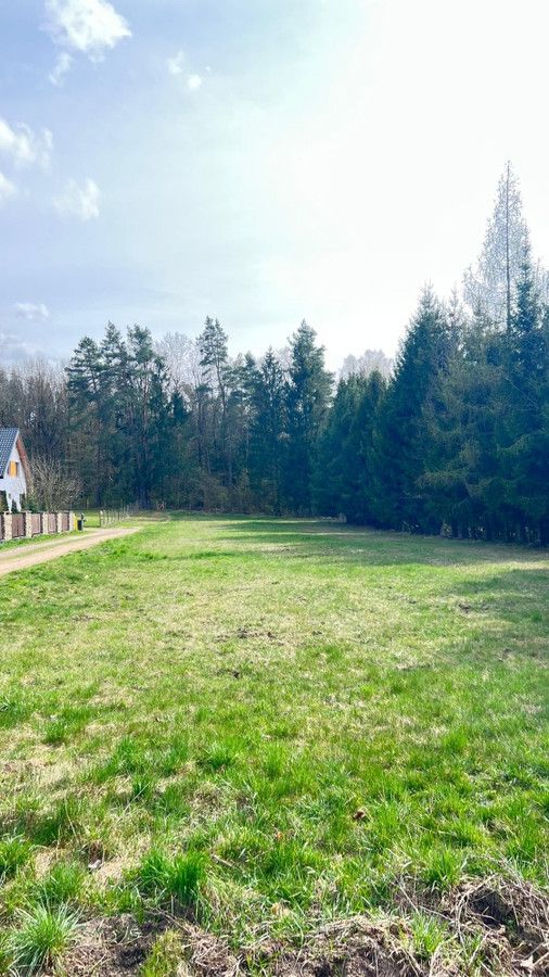 Działka budowlana Sielachowskie. Zdjęcie 2