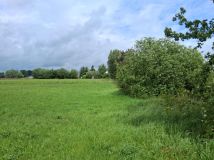 Działka rolno-budowlana Różany. Zdjęcie 1