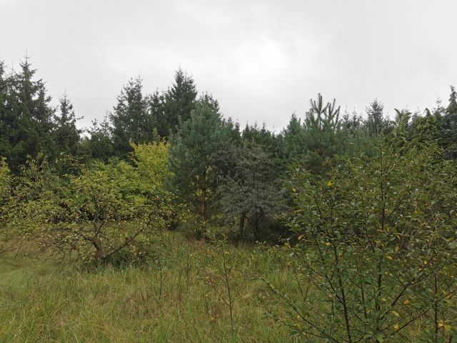 Działka inwestycyjna Złotów. Zdjęcie 4